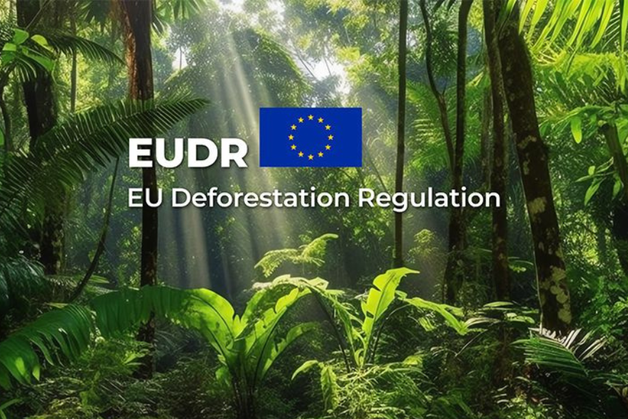 Brasil e a EUDR: sua empresa está preparada para a nova regulamentação ambiental europeia?